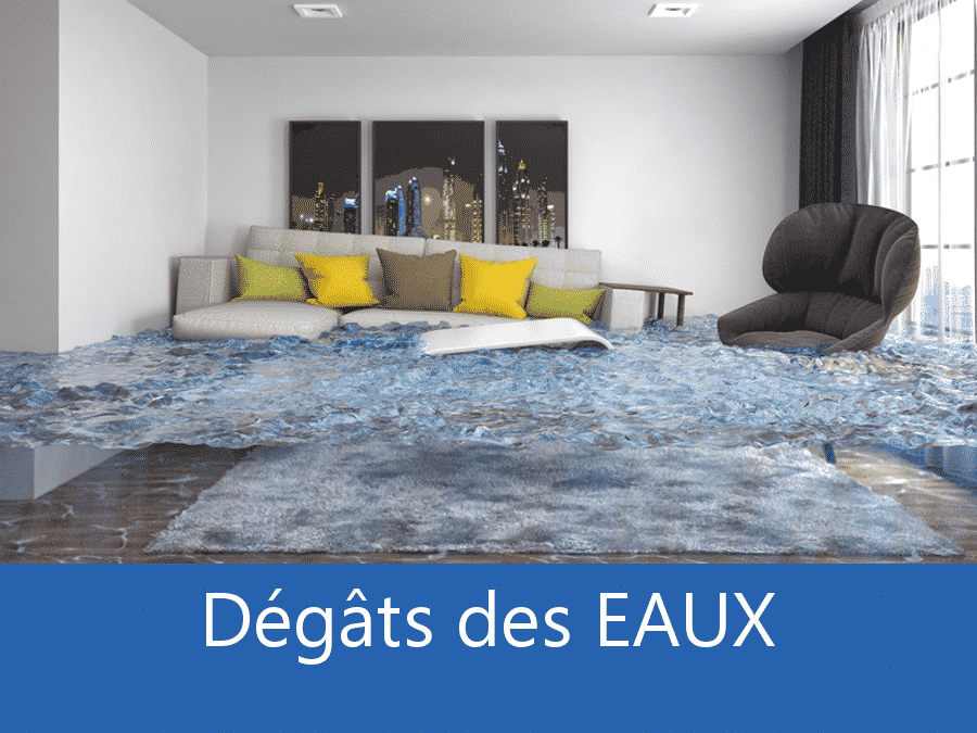 expertise humidité 68, expert humidité Haut-Rhin, cause moisissure Colmar, solutions hulidité Mulhouse,